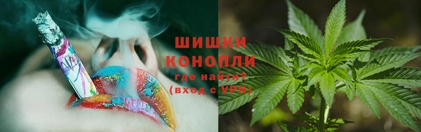 стаф Аркадак