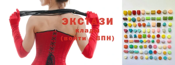 стаф Аркадак