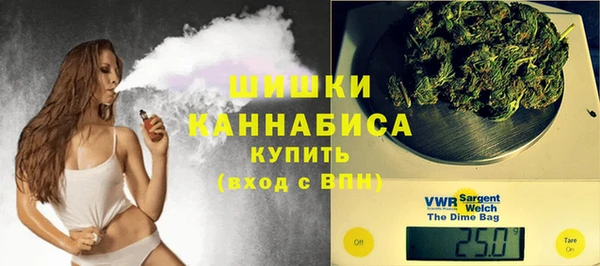 стаф Аркадак