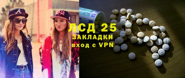 стаф Аркадак