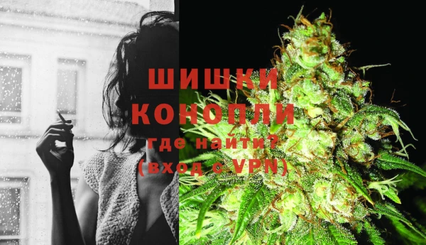 стаф Аркадак