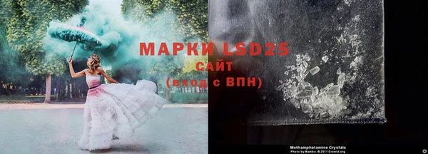 стаф Аркадак