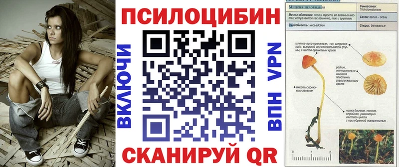 Галлюциногенные грибы MAGIC MUSHROOMS  где продают наркотики  Нарткала 